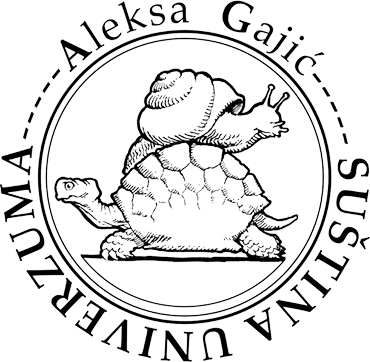 Suština univerzuma - Aleksa Gajić logo